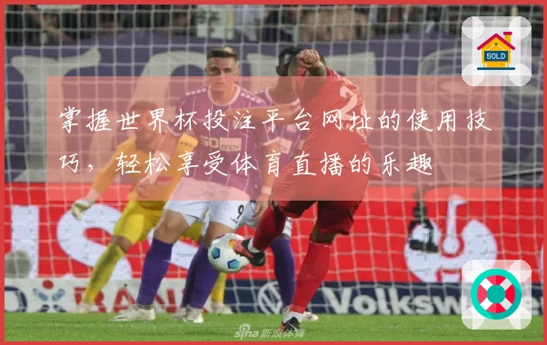掌握世界杯投注平台网址的使用技巧，轻松享受体育直播的乐趣