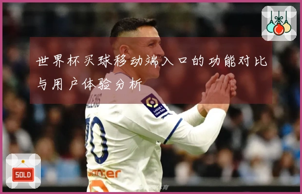 世界杯买球移动端入口的功能对比与用户体验分析
