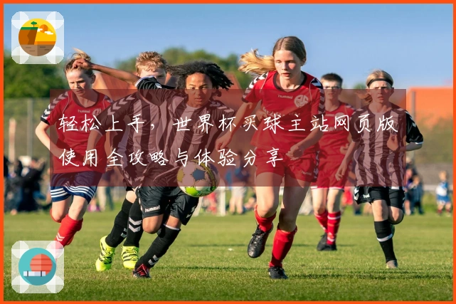 轻松上手，世界杯买球主站网页版使用全攻略与体验分享
