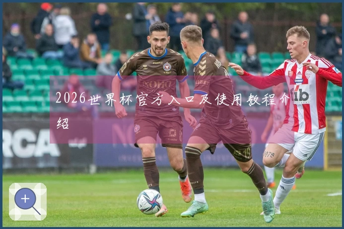 2026世界杯官方入口及使用教程介绍