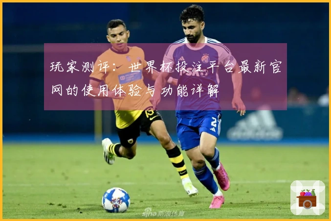 玩家测评:世界杯投注平台最新官网的使用体验与功能详解