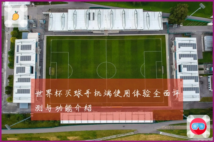 世界杯买球手机端使用体验全面评测与功能介绍