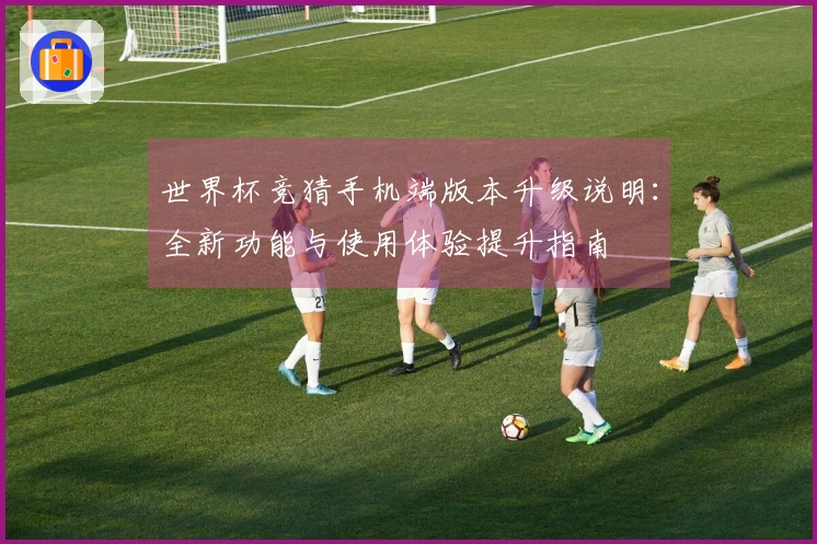 世界杯竞猜手机端版本升级说明：全新功能与使用体验提升指南