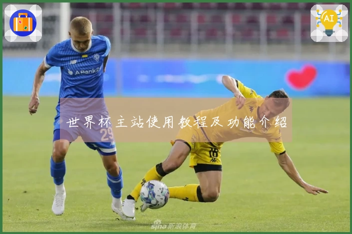 世界杯主站使用教程及功能介绍