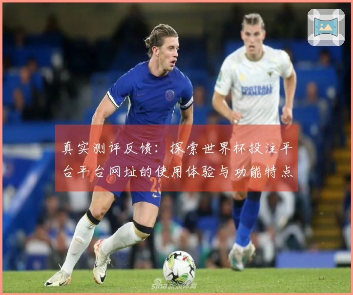 真实测评反馈:探索世界杯投注平台平台网址的使用体验与功能特点
