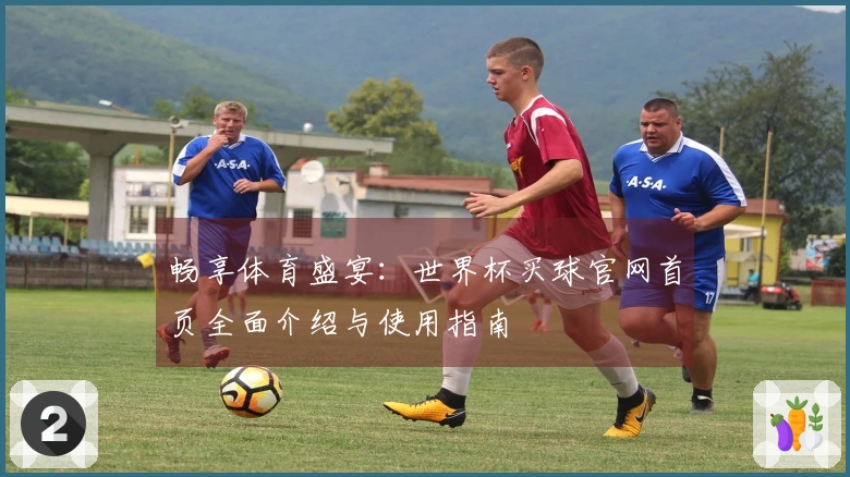 畅享体育盛宴:世界杯买球官网首页全面介绍与使用指南