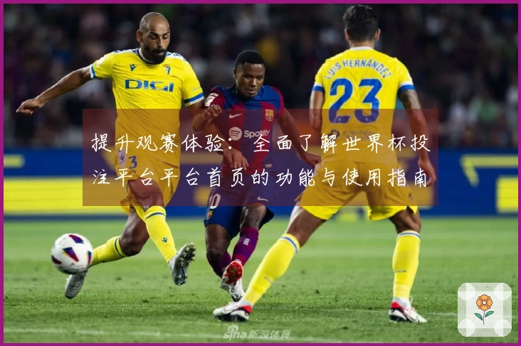 提升观赛体验：全面了解世界杯投注平台平台首页的功能与使用指南