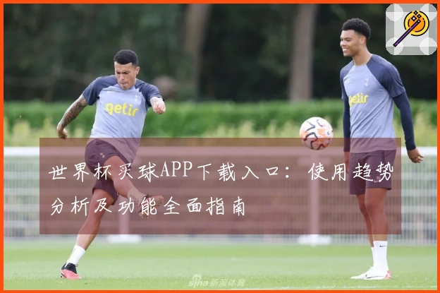 世界杯买球APP下载入口：使用趋势分析及功能全面指南