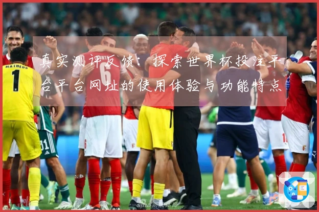 真实测评反馈：探索世界杯投注平台平台网址的使用体验与功能特点
