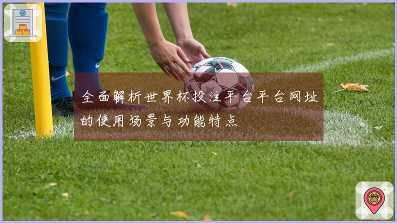 全面解析世界杯投注平台平台网址的使用场景与功能特点