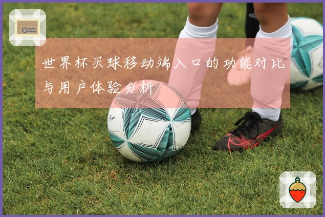世界杯买球移动端入口的功能对比与用户体验分析