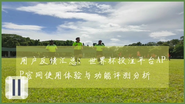 用户反馈汇总：世界杯投注平台APP官网使用体验与功能评测分析