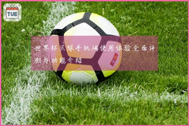 世界杯买球手机端使用体验全面评测与功能介绍