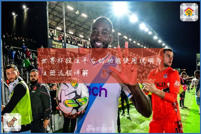 世界杯投注平台的功能使用说明与注册流程详解
